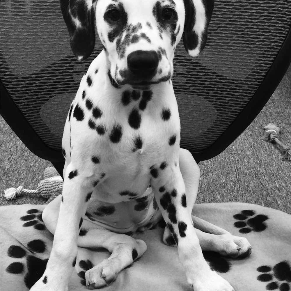 Meet your Posher, Nicola